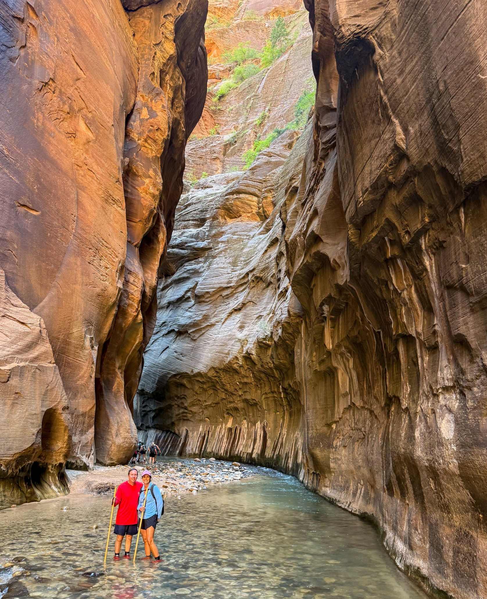 The Narrows Tour Zion National Park