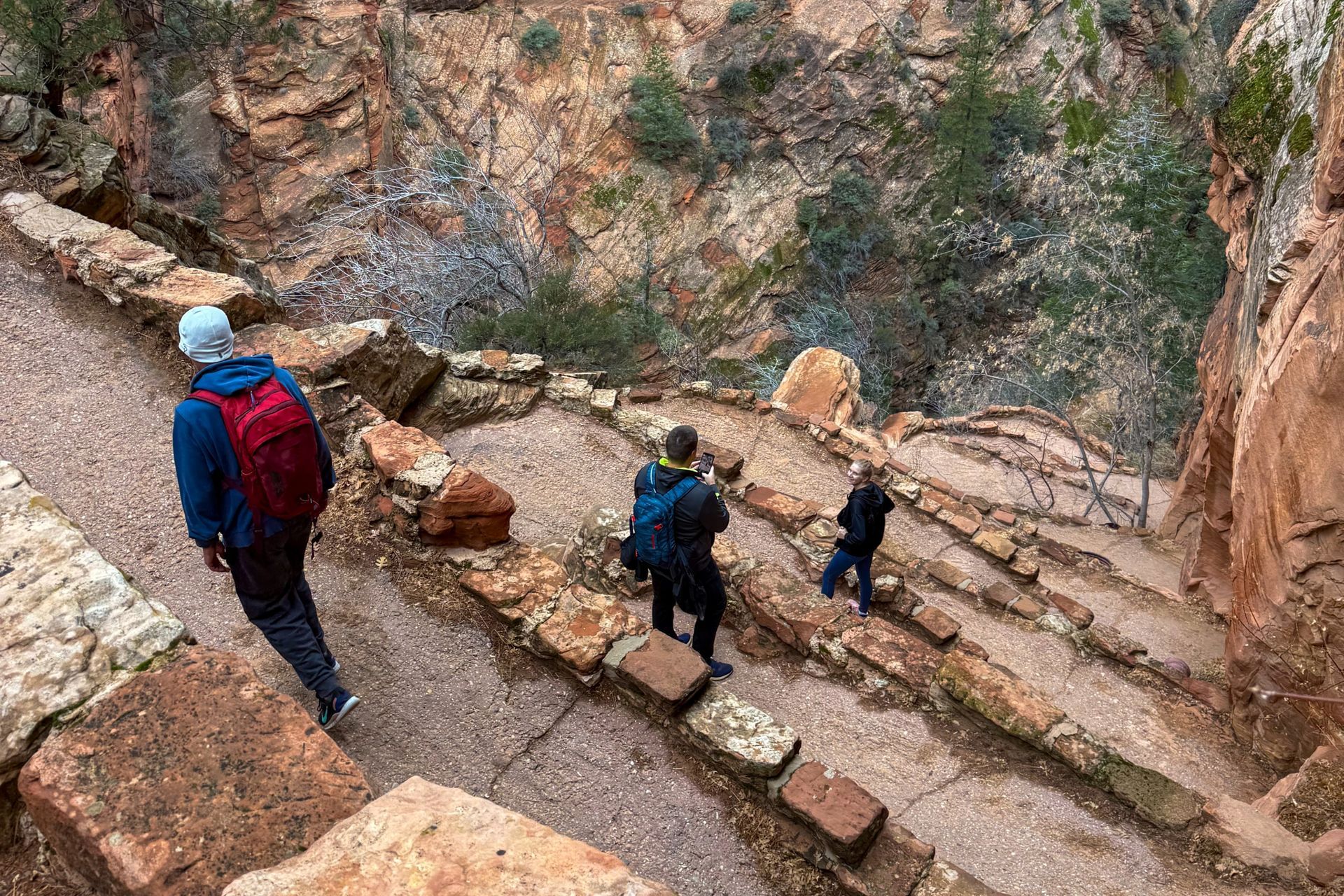 Walters Wiggles Zion National Park Tours