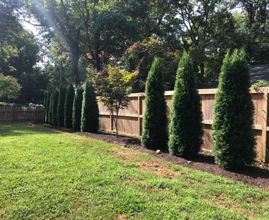 Landscape Maintenance VA Landscape Maintenance VA