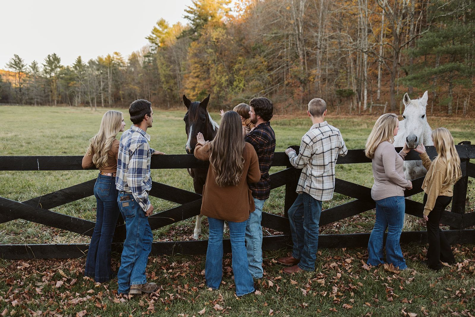 People standing by a fence petting two horses in a grassy field with autumn trees behind them