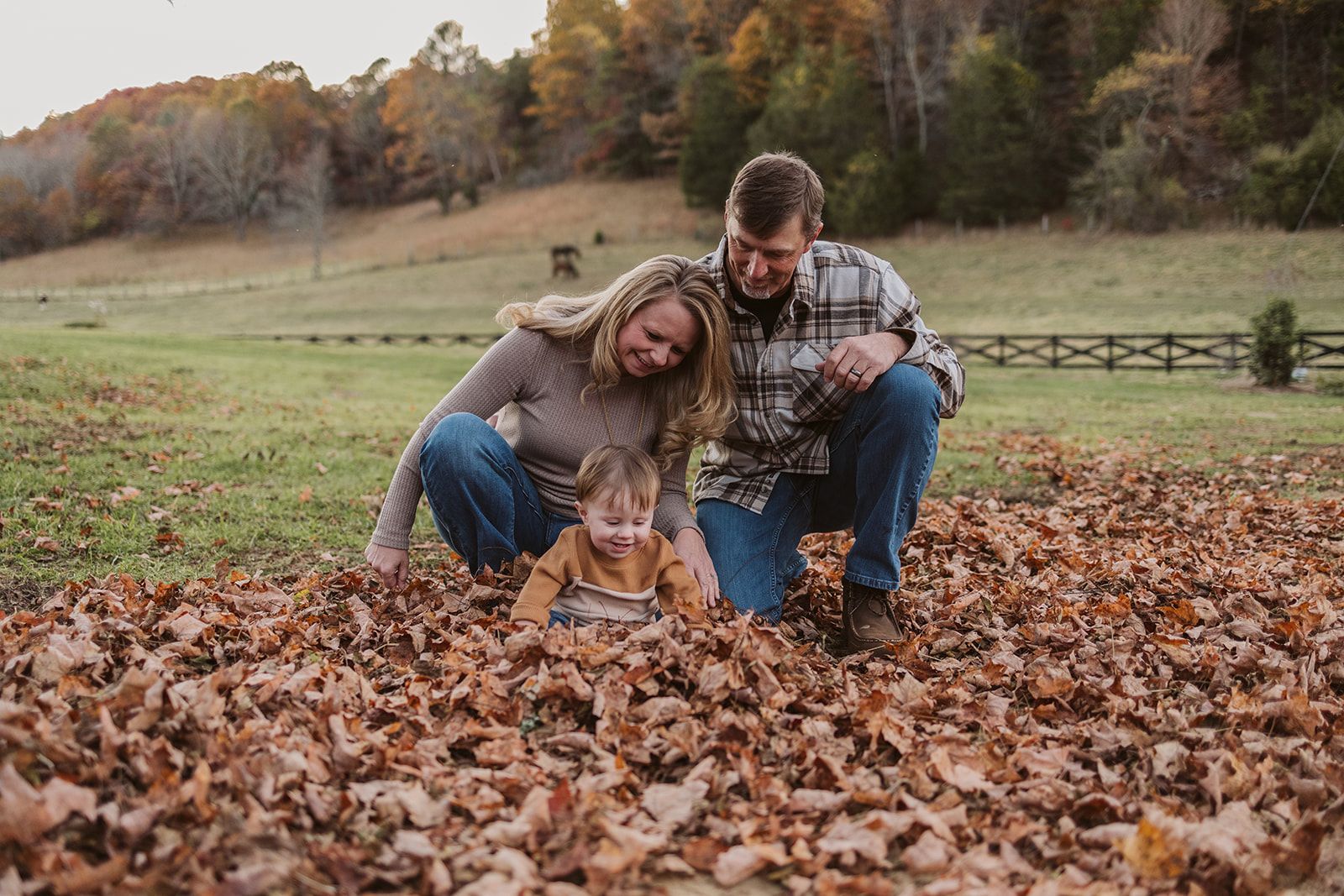 A family is playing in a pile of leaves in a field.
