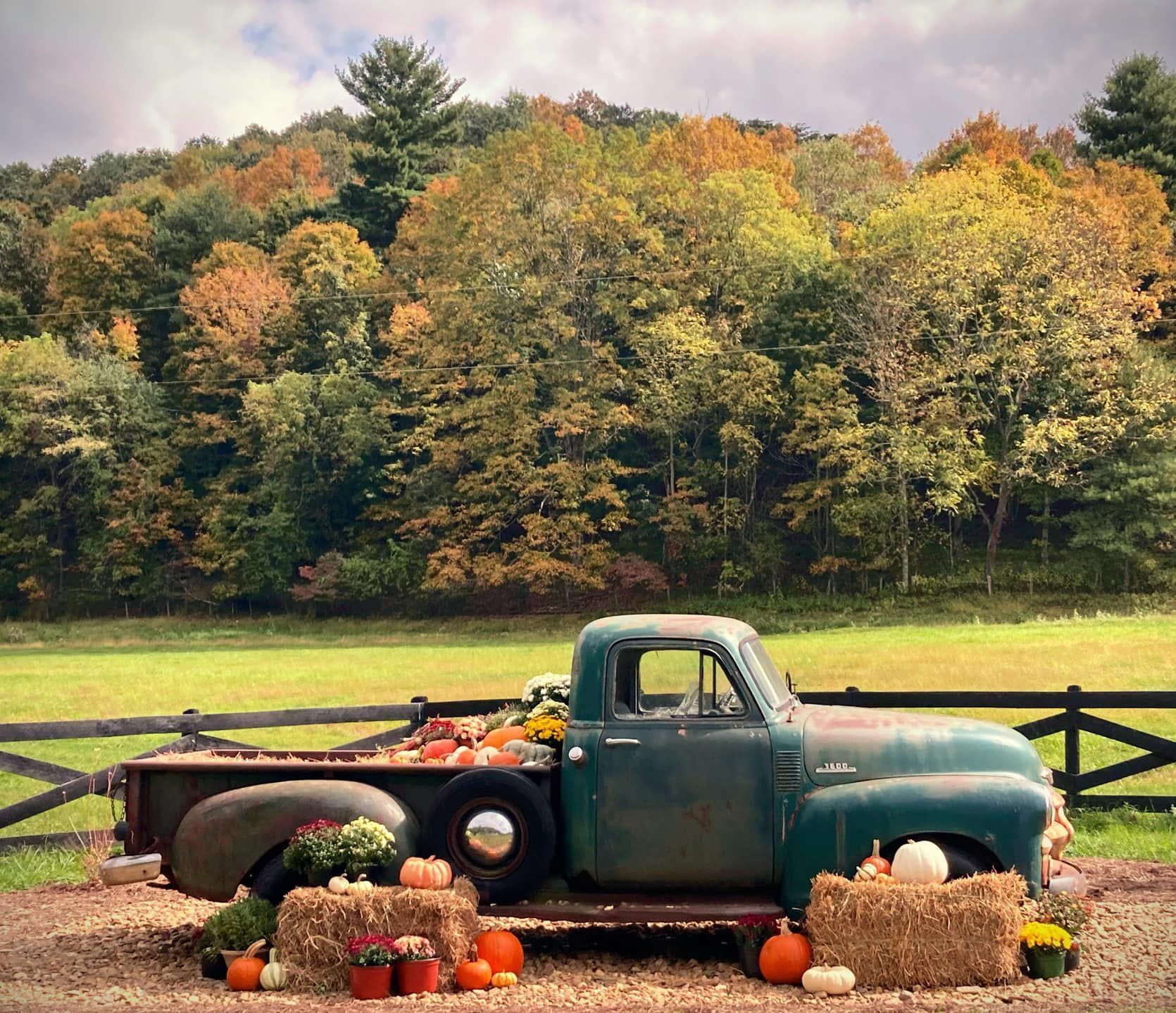 An old truck is decorated with pumpkins and hay bales