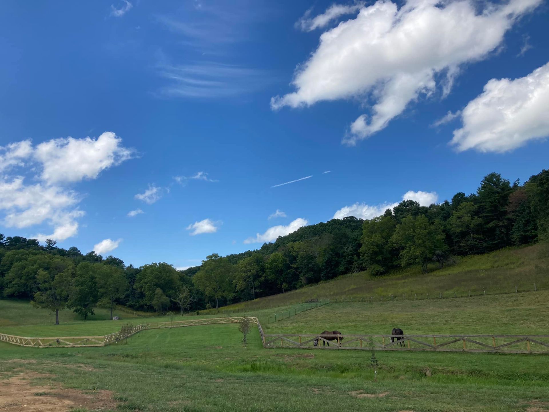 A field with trees and a blue sky with clouds