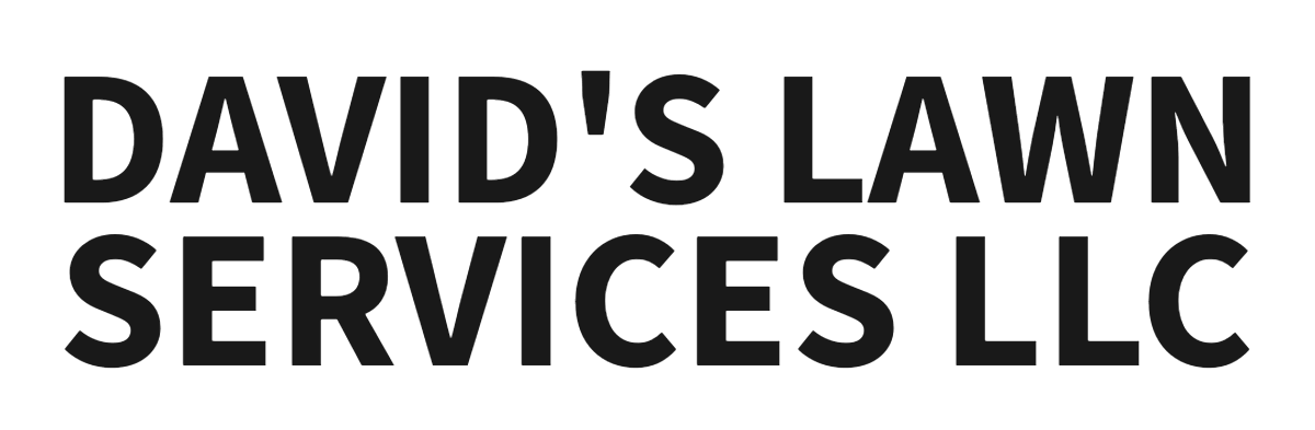 David's Lawn Services LLC David's Lawn Services LLC