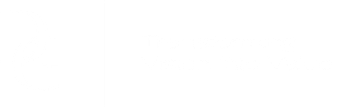 A white background with a few lines on it,Domani Group Business Strategy 
