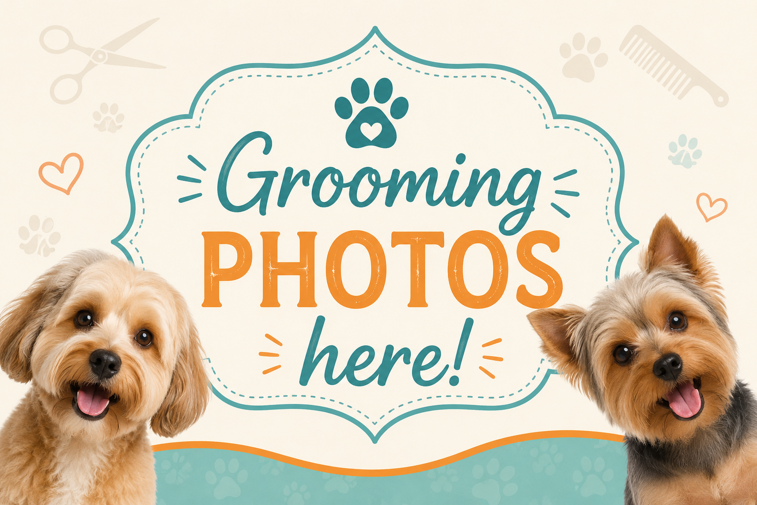 Your Grooming Photos Here