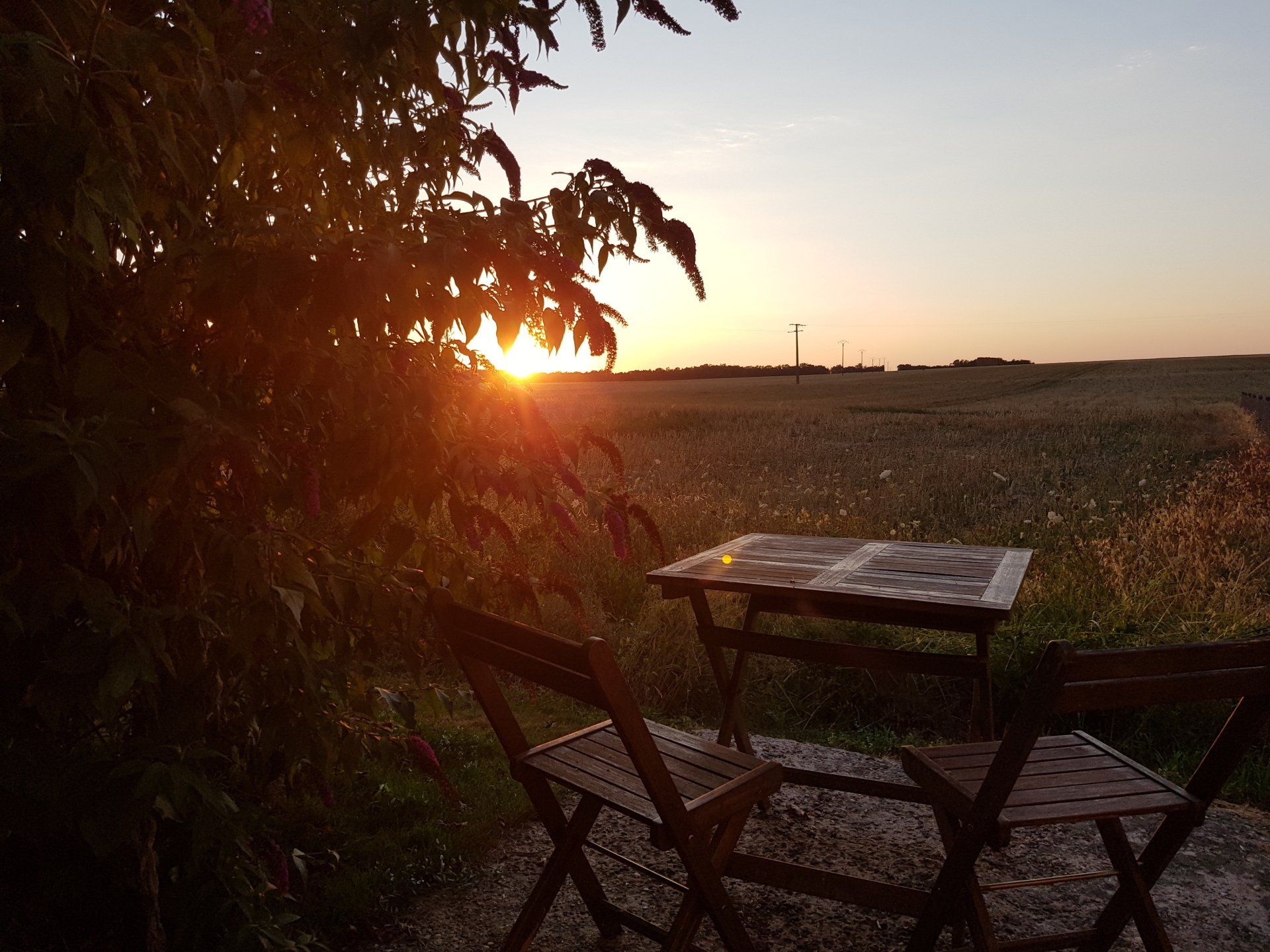 sunset from a back terrace