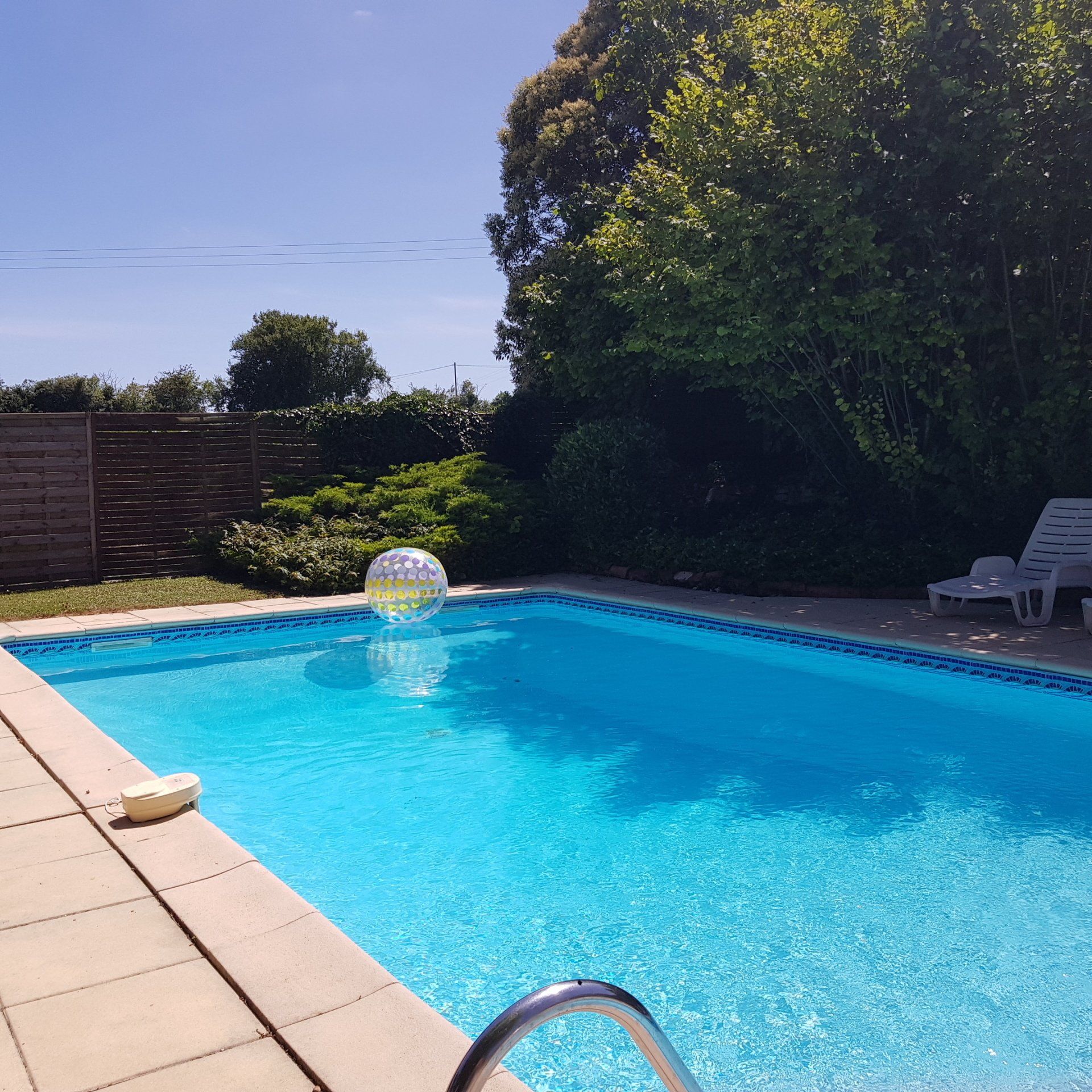 large blow up ball floating in a rectanguar swimming pool