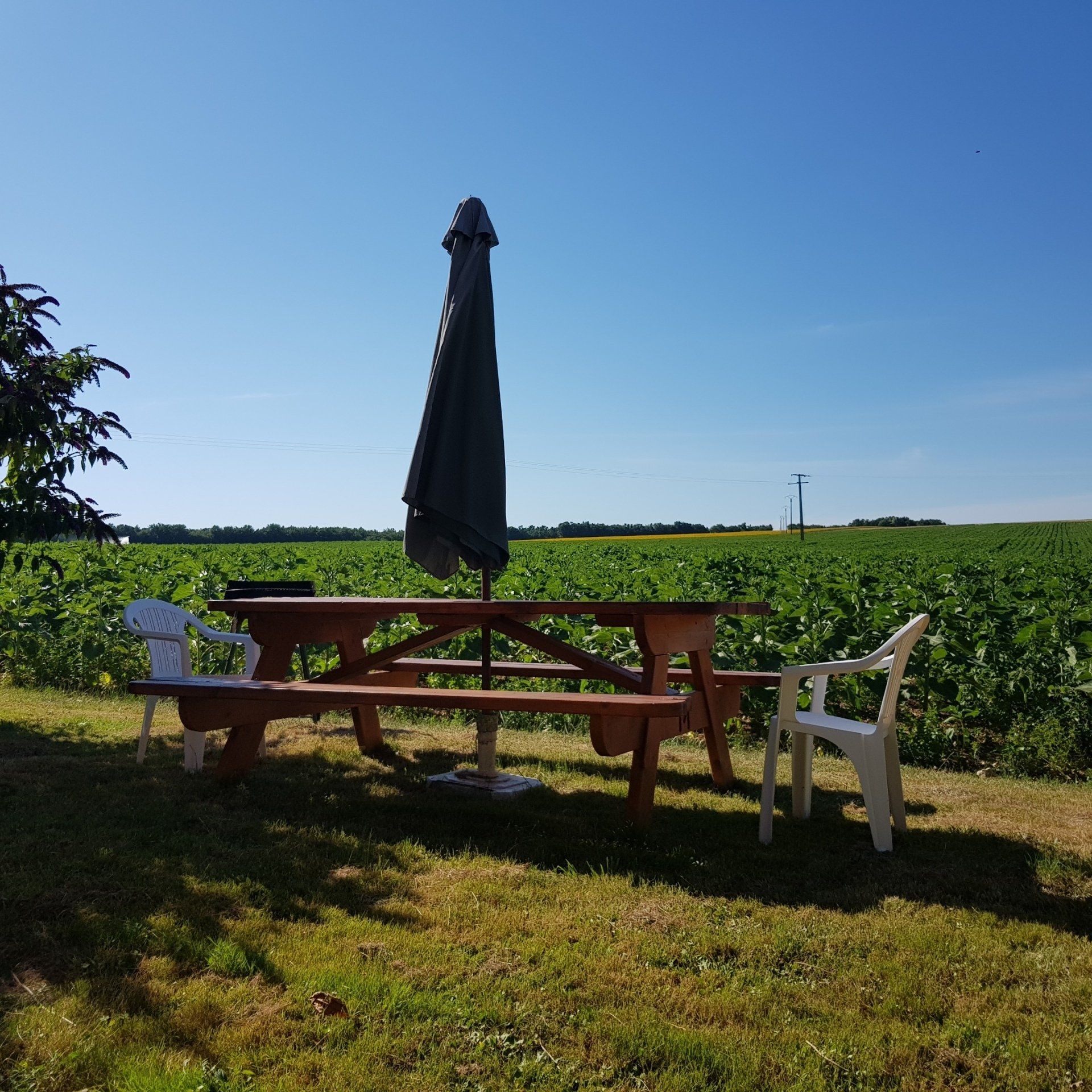 picnic table with view over fields