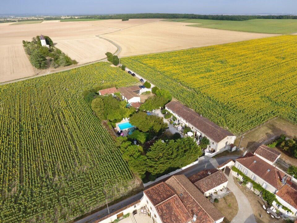 vue aérienne d'une rangée de gîtes français entourés de champs