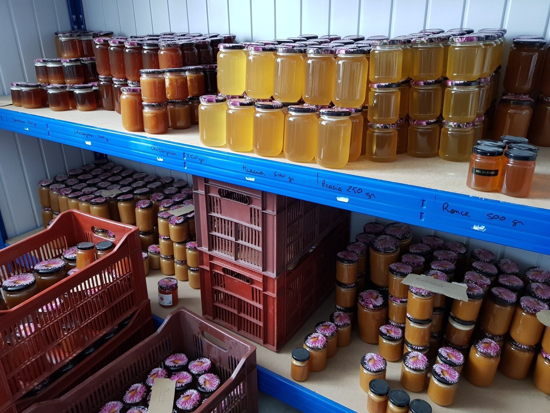 shelves filled with honey jars at Miel d'elle in Courgeon France