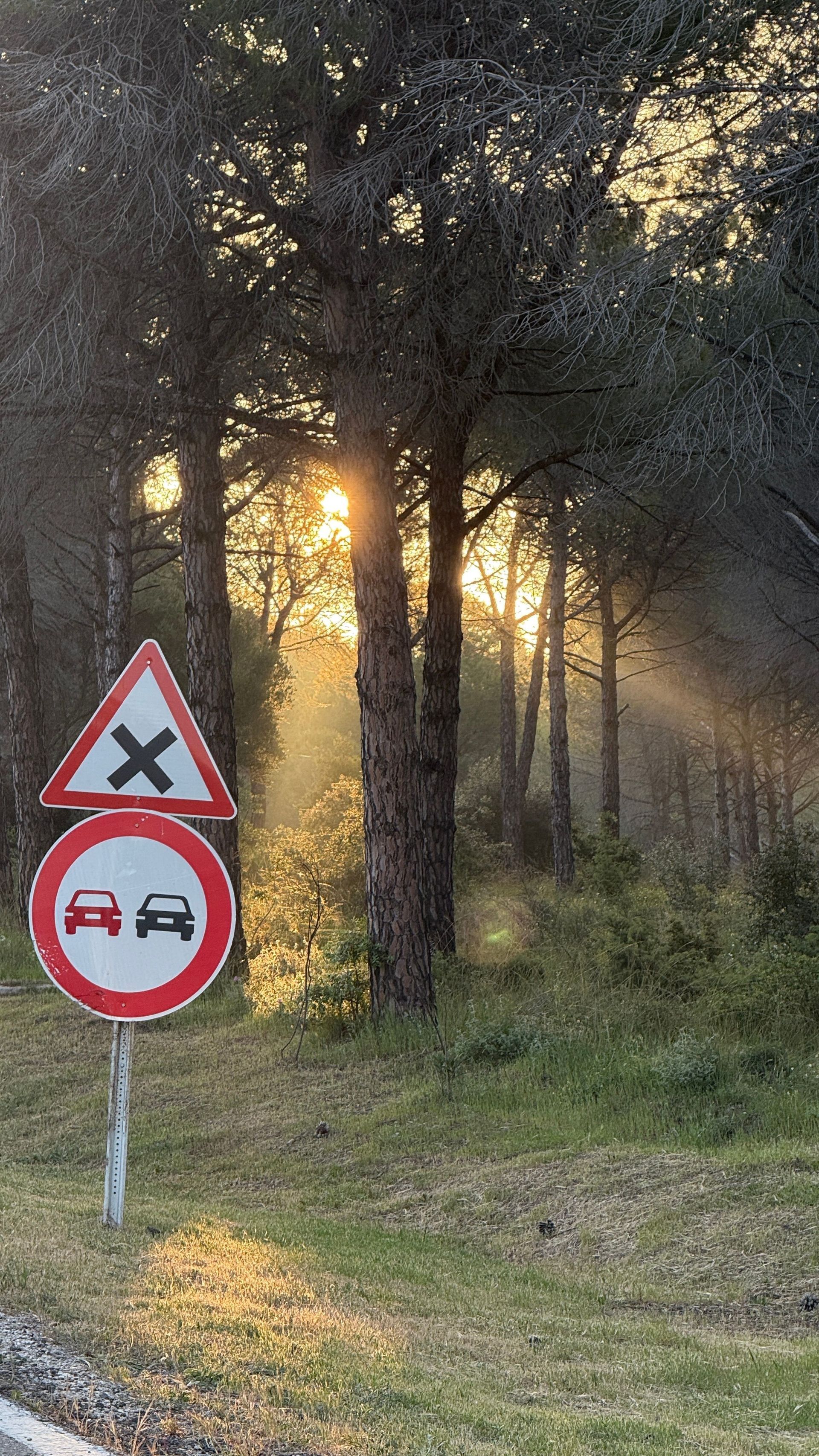 French road signs showing who has the right of way