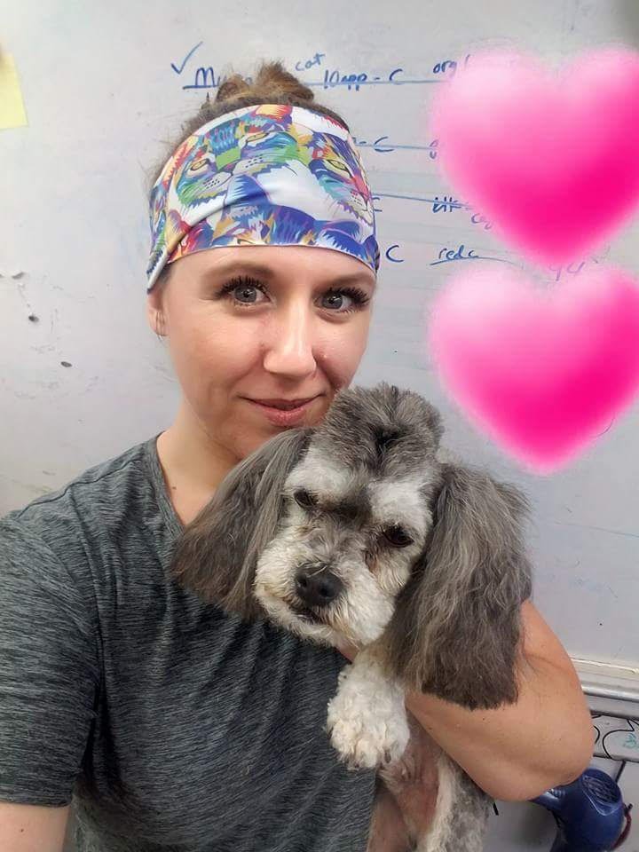 Noah's Ark Dog & Cat Grooming Pet groomers Elk Grove, CA