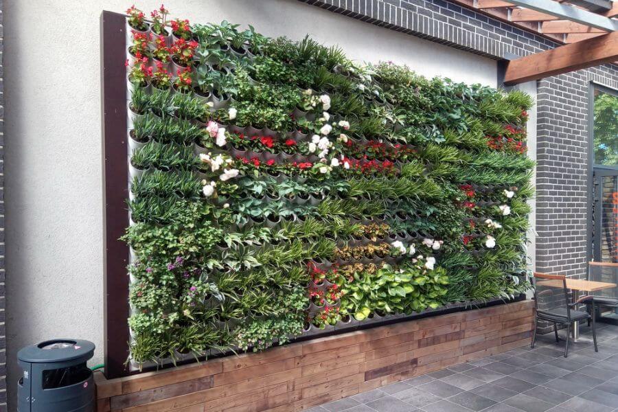 Stādu audzētava Z/S Bērziņi | Garden Spot produkti