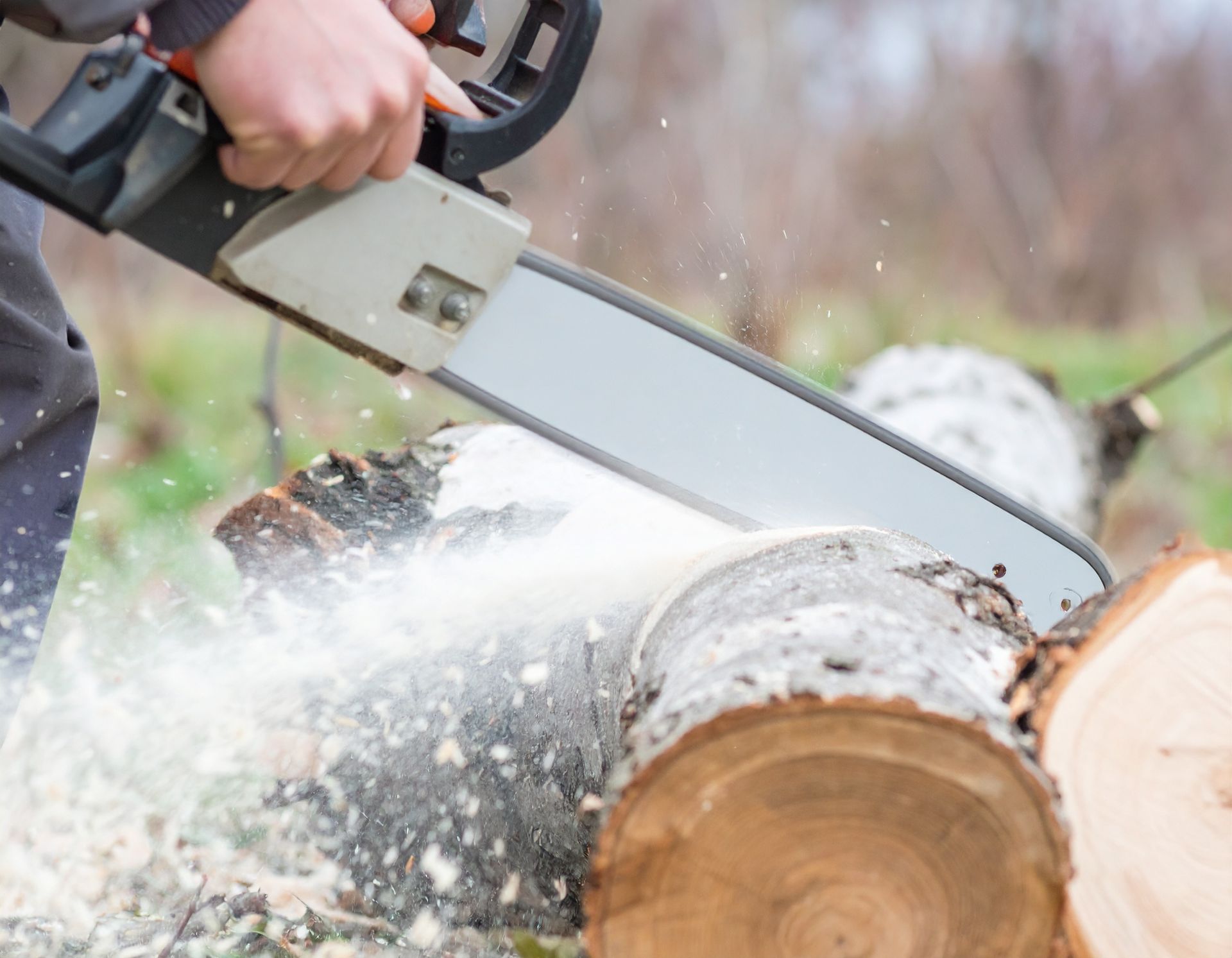 Tree Service Green Valley log cutting