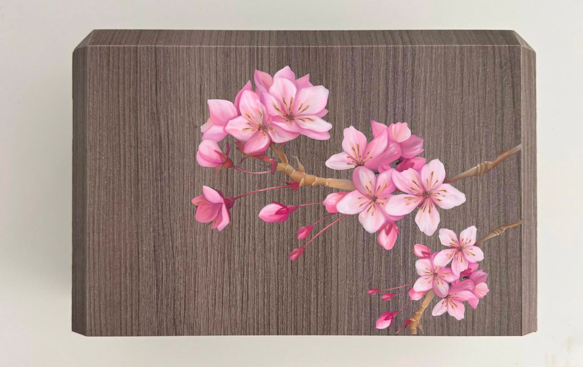 Fiori di ciliegio rosa dipinti su un pannello rettangolare dalla texture effetto legno
