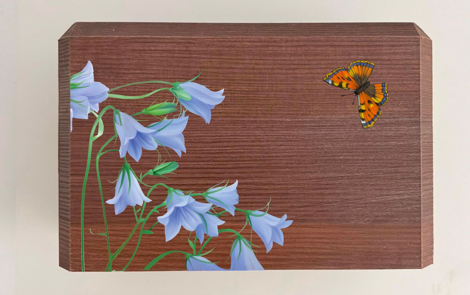 Targhetta di legno con fiori blu dipinti a sinistra e una piccola farfalla arancione in alto a destra.