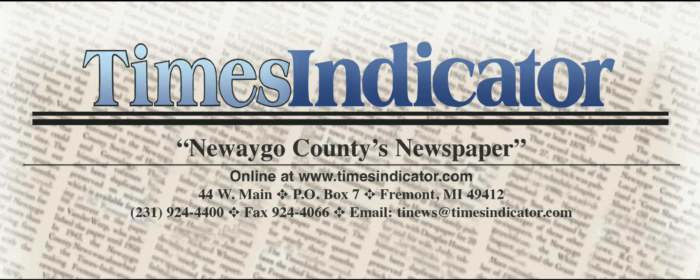 Times Indicator article