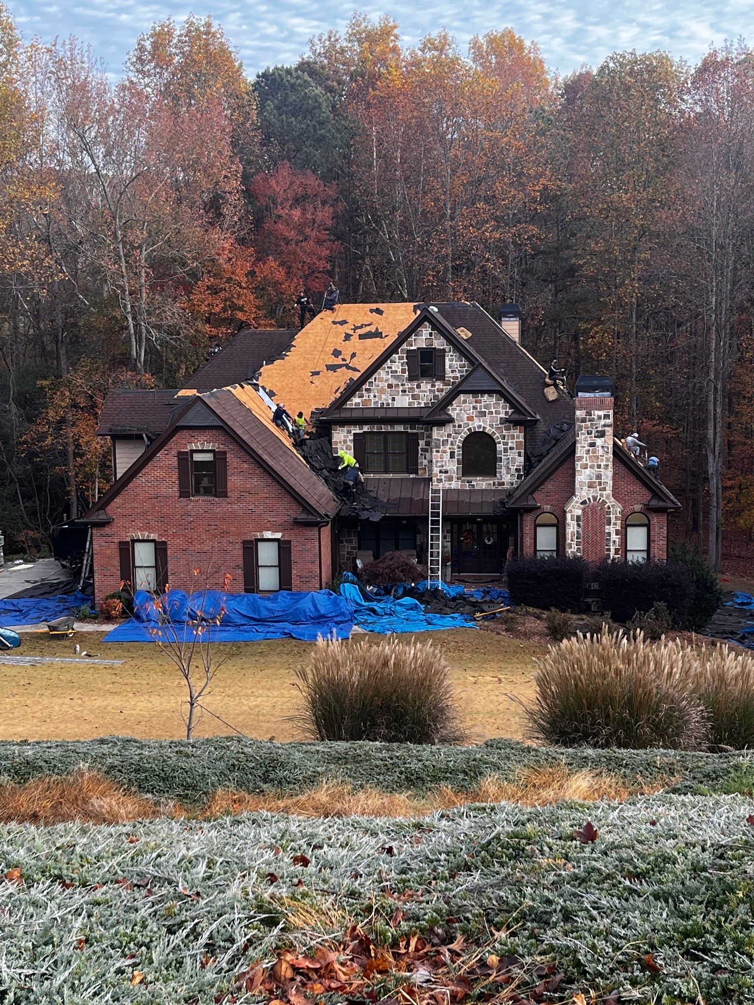 House undergoing roof replacement, surrounded by blue tarps, in front of fall foliage.