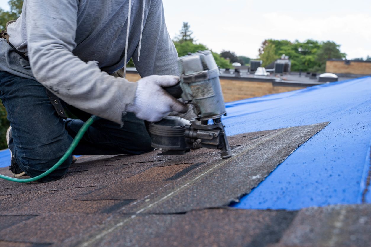Roofer kneels, using a nail gun to attach shingles to a blue underlayment on a rooftop.