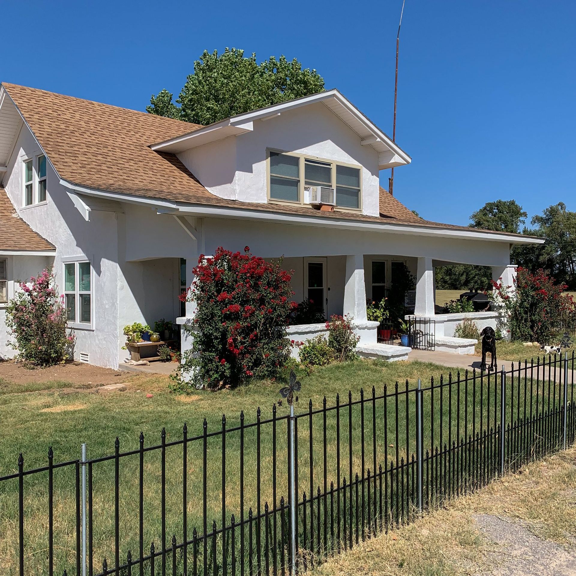 White house with brown roof, front porch, red bushes, black fence, and a dog.