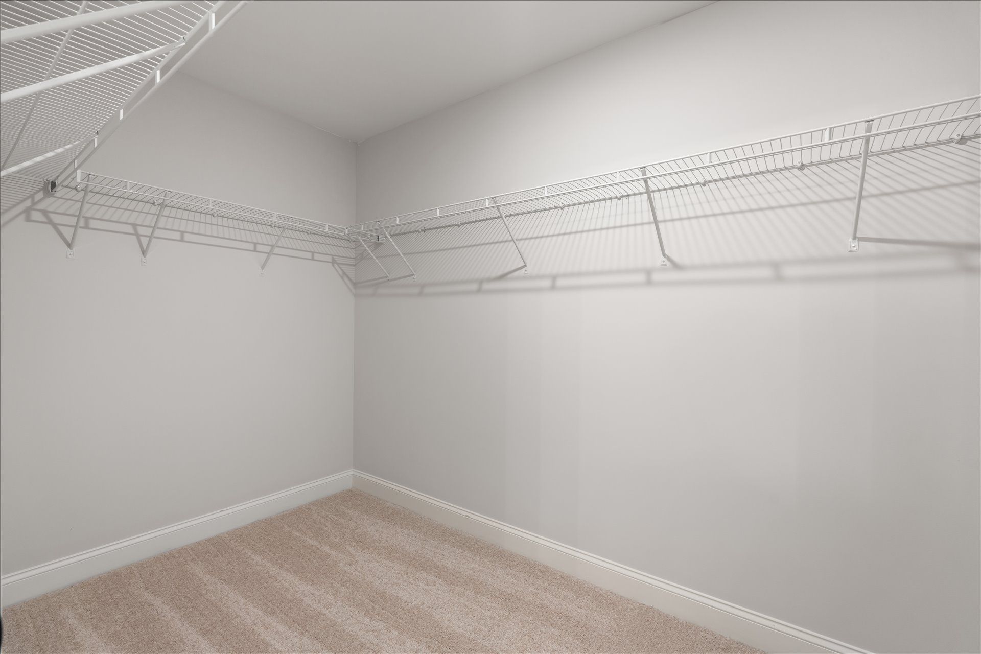 Empty walk-in closet with white wire shelving and beige carpet on light gray walls.