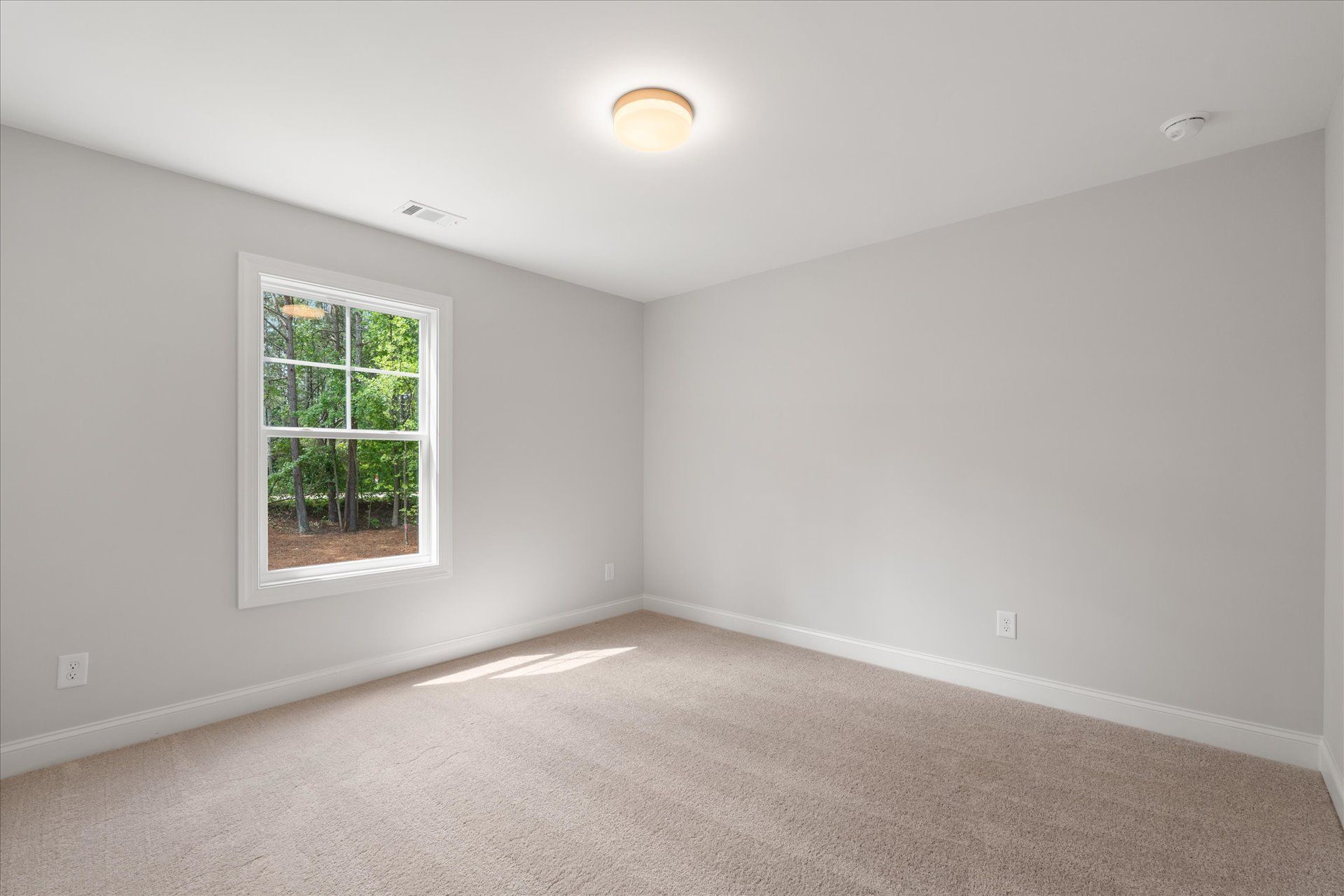 Empty beige bedroom with gray walls, carpeted floor, and a window letting in sunlight