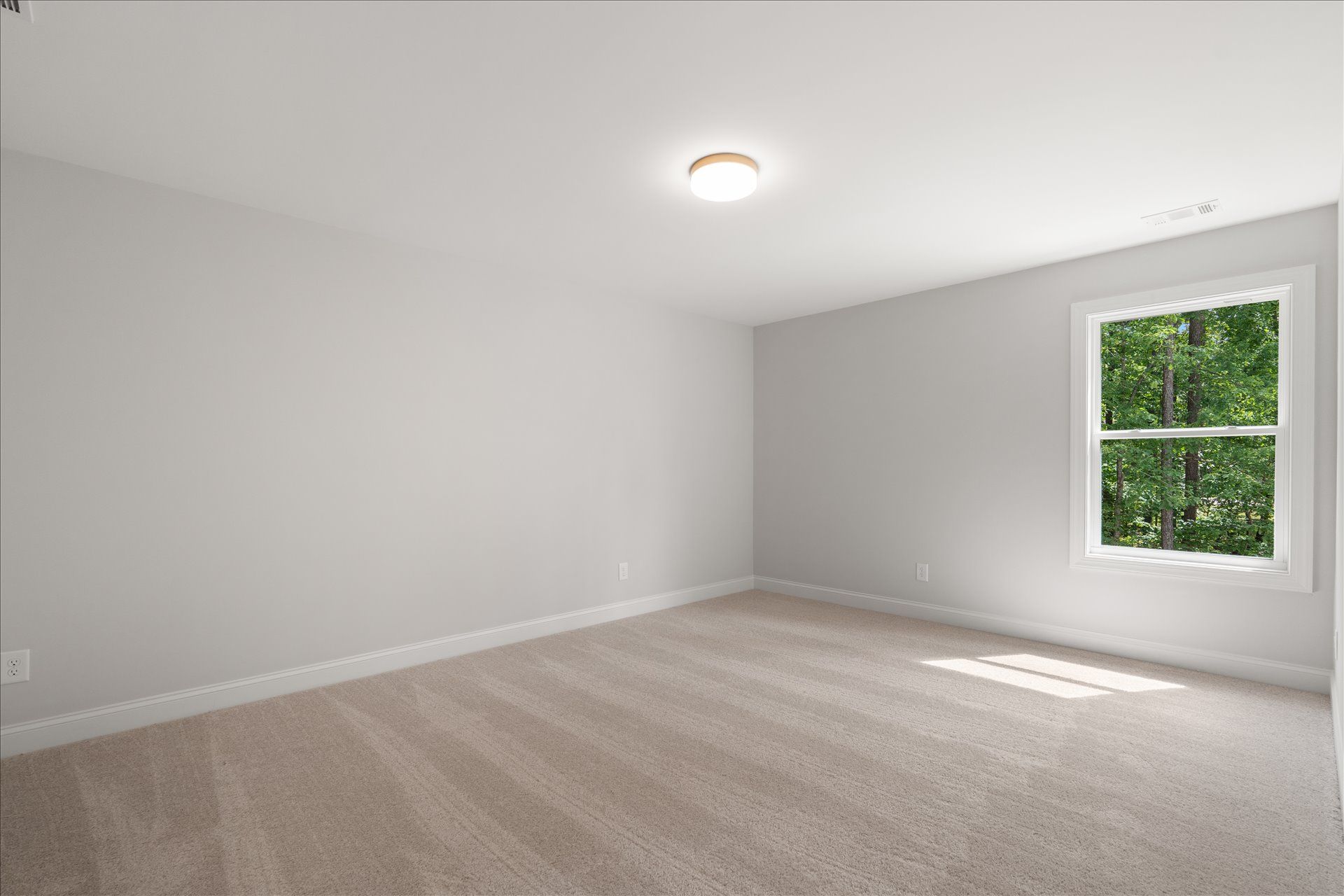 Empty white bedroom with beige carpet and a window showing green trees.