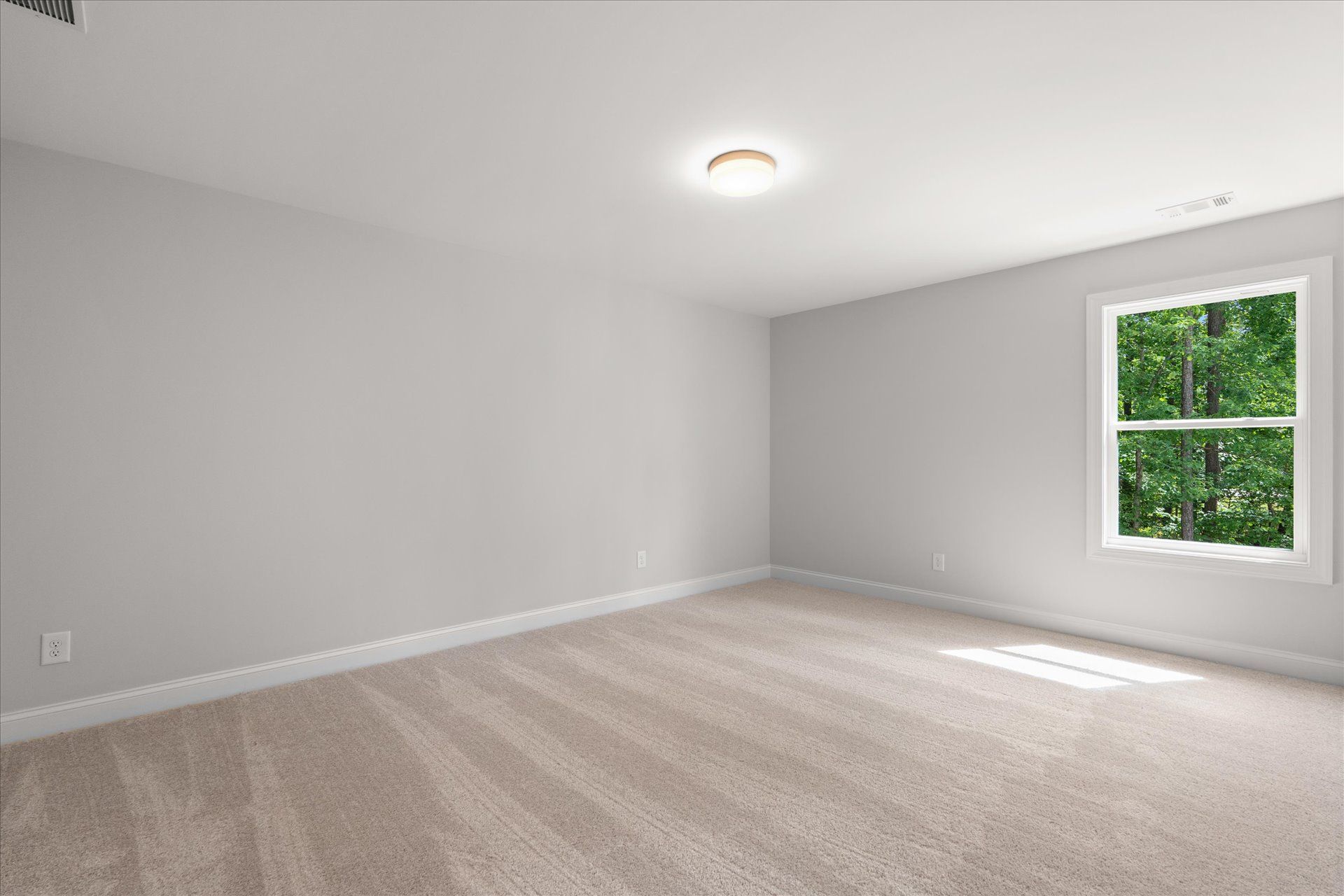 Empty beige bedroom with gray walls, carpet, ceiling light, and a window showing green trees.