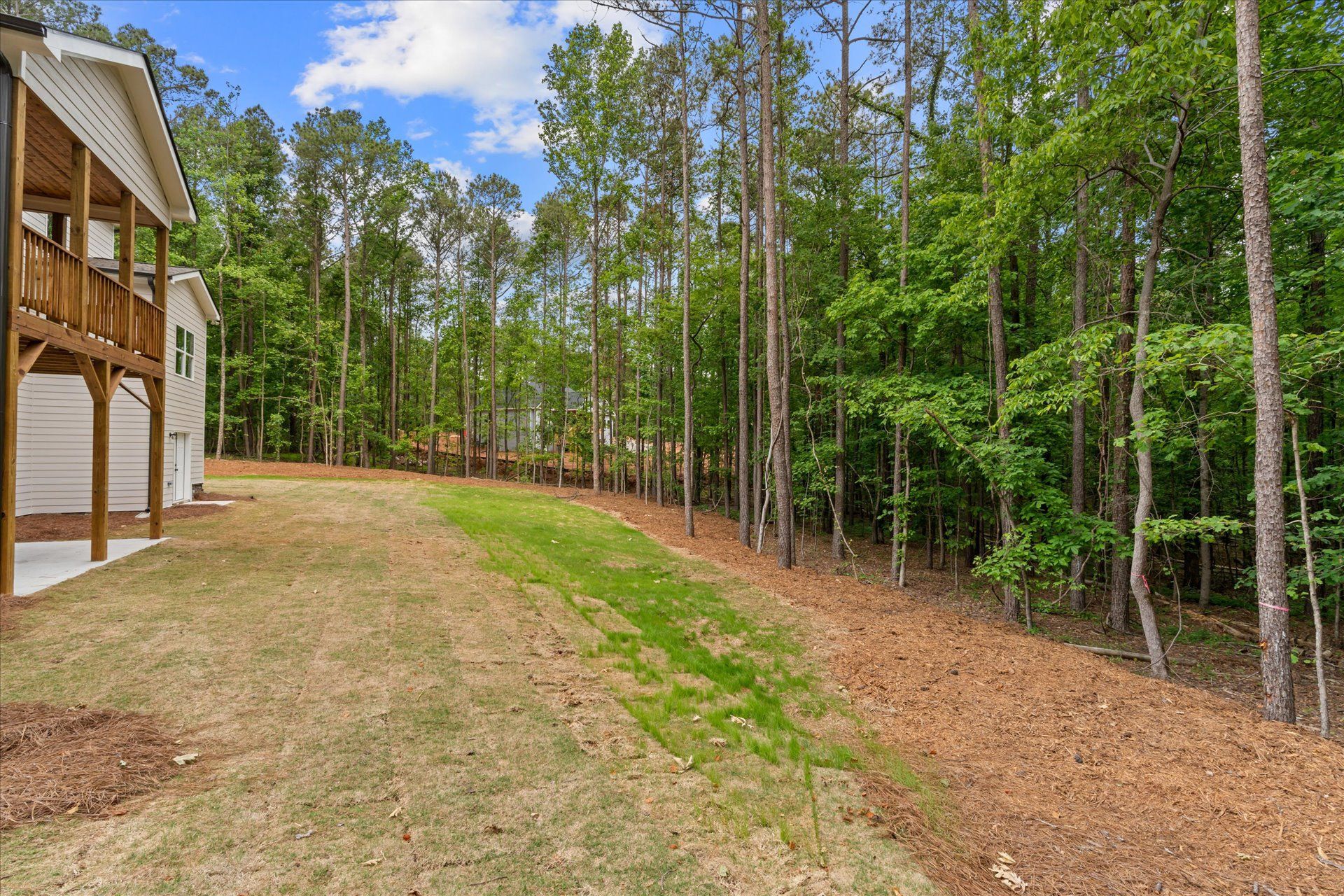 Wooded backyard beside a house, with grass and pine trees under a partly cloudy sky