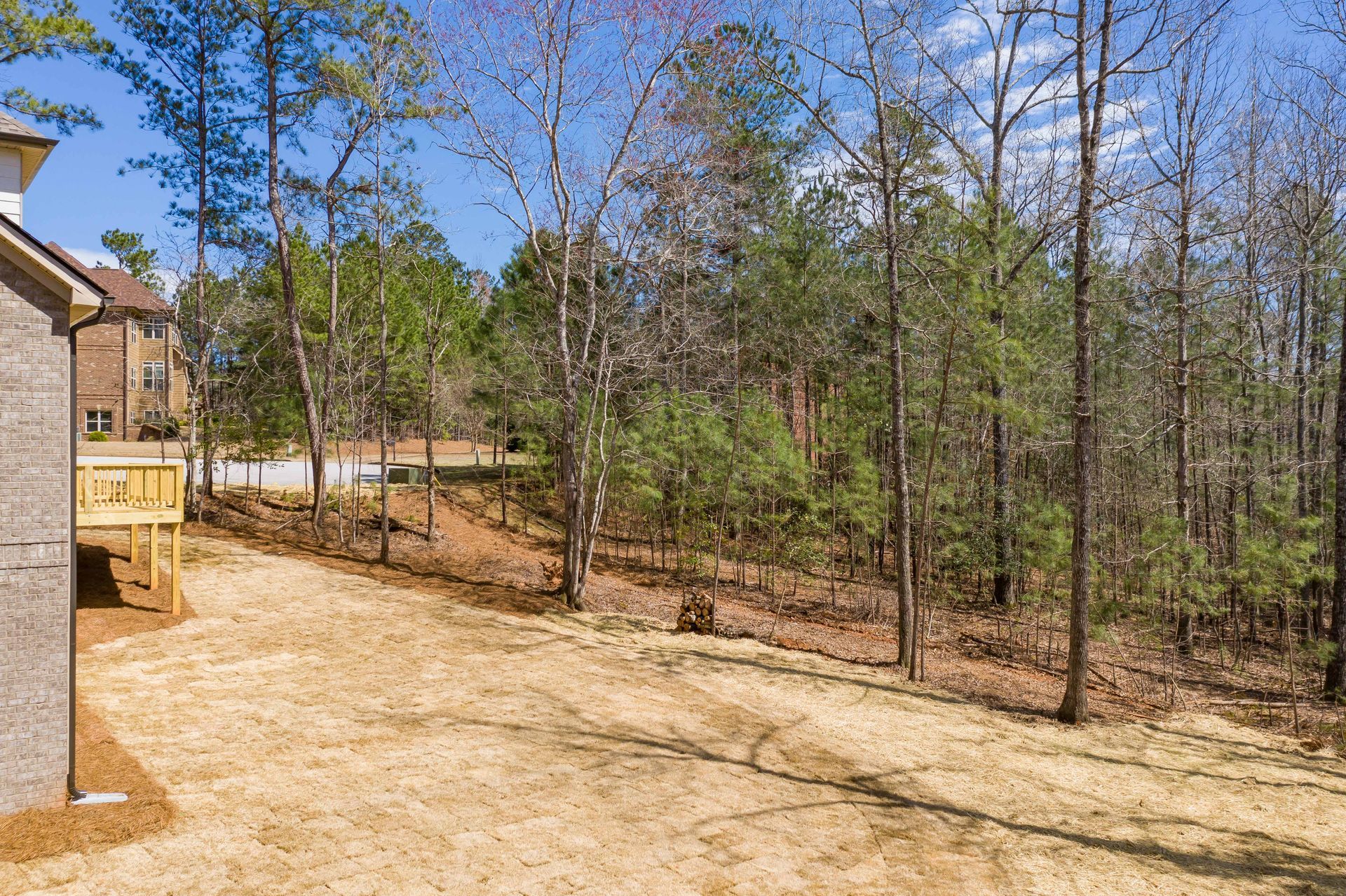 Wooded backyard beside a house, with a sandy clearing and tall trees under a blue sky.