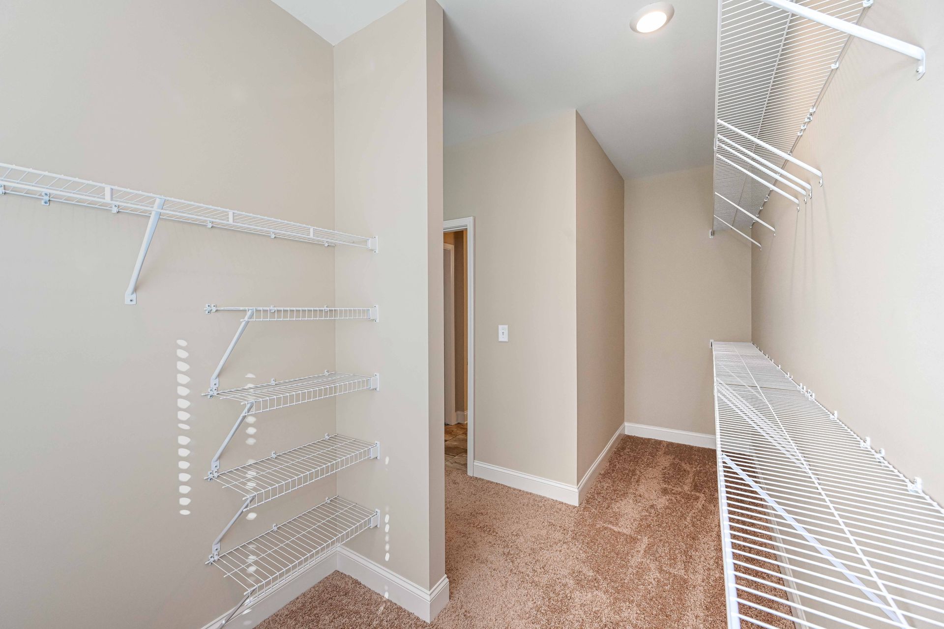 Empty walk-in closet with white wire shelving, beige walls, and brown carpet.