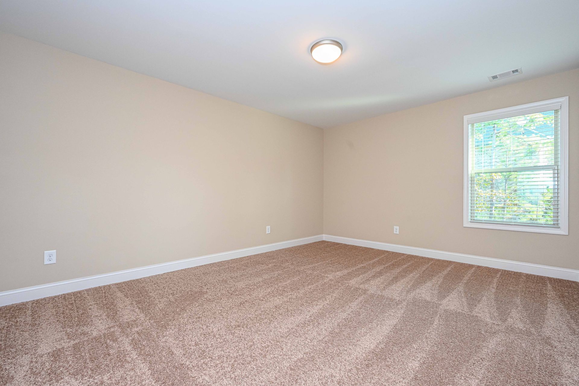 Empty beige bedroom with carpet, white trim, ceiling light, and a window on the right.