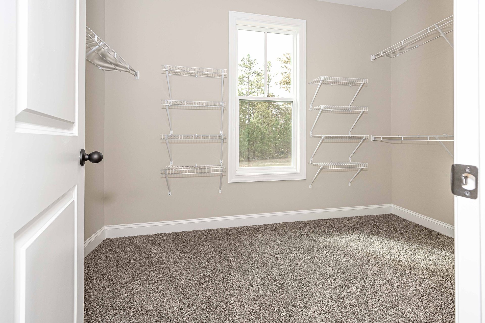 Empty beige walk-in closet with white wire shelving and a window over carpeted floor