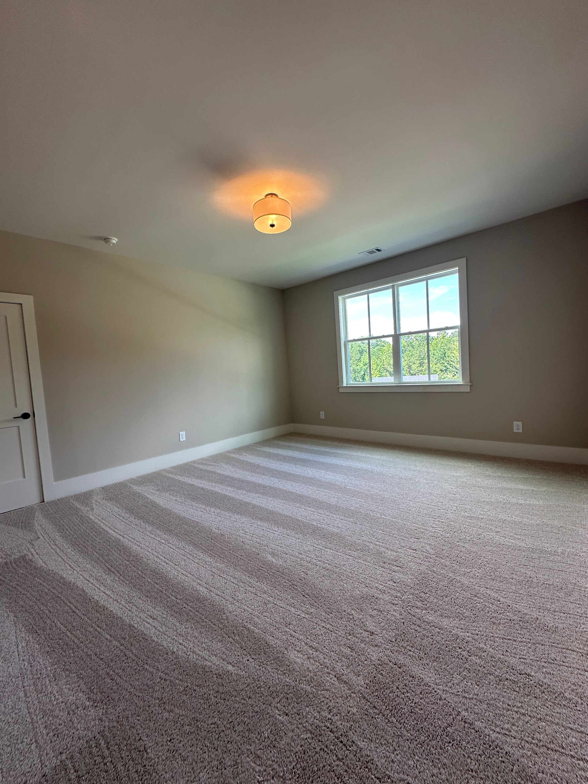 Empty beige bedroom with carpet, ceiling light, and a window letting in daylight