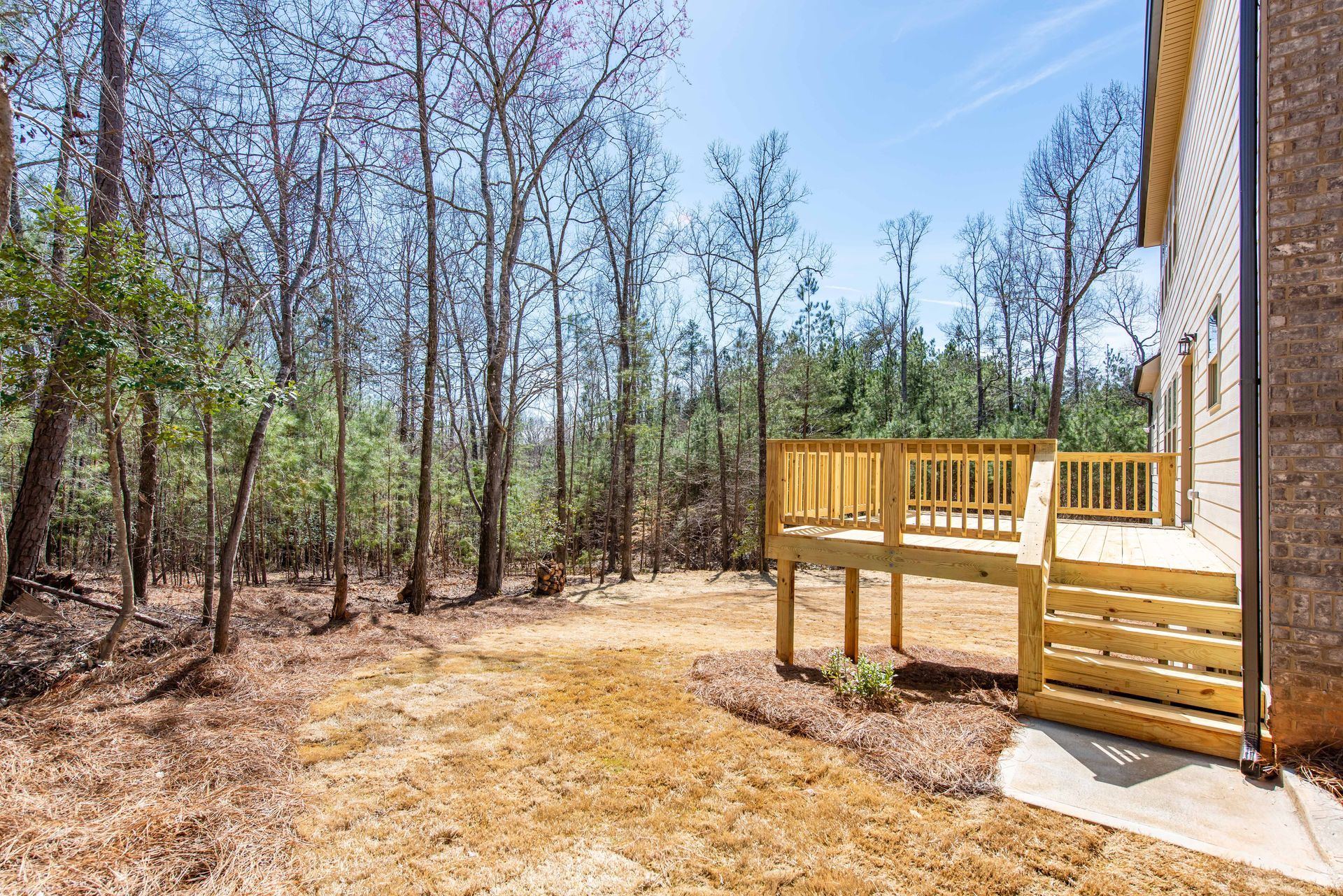 Wooded backyard beside a house with a small wooden deck and steps