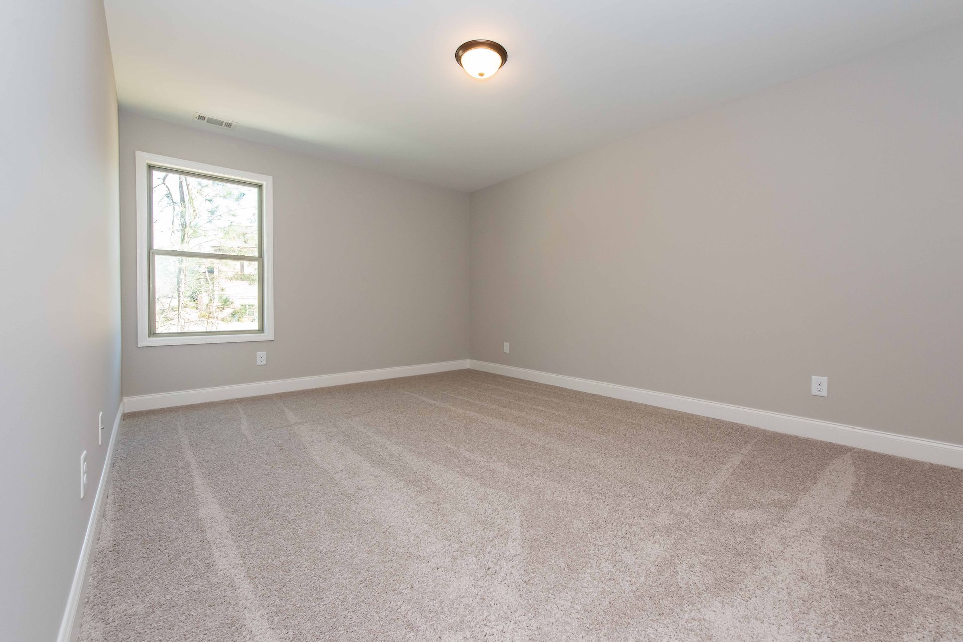 Empty beige carpeted bedroom with gray walls, white trim, and a single window.