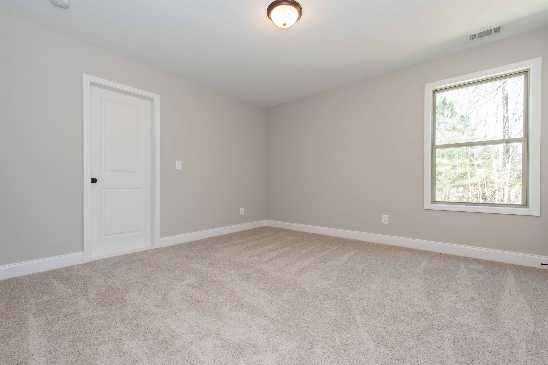 Empty beige carpeted bedroom with gray walls, white trim, a closed door, and one window.