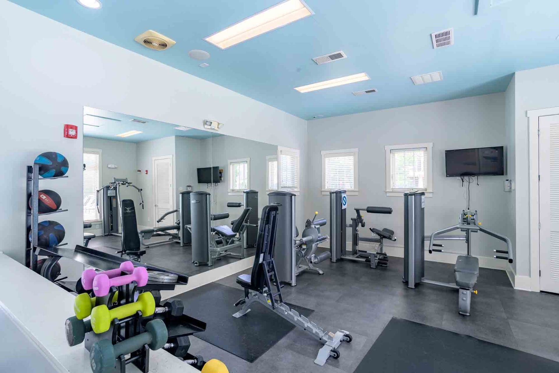 Gym interior with exercise machines, weights, mirror, and TV at Ansley Falls Apartment Homes in Charlotte, NC.
