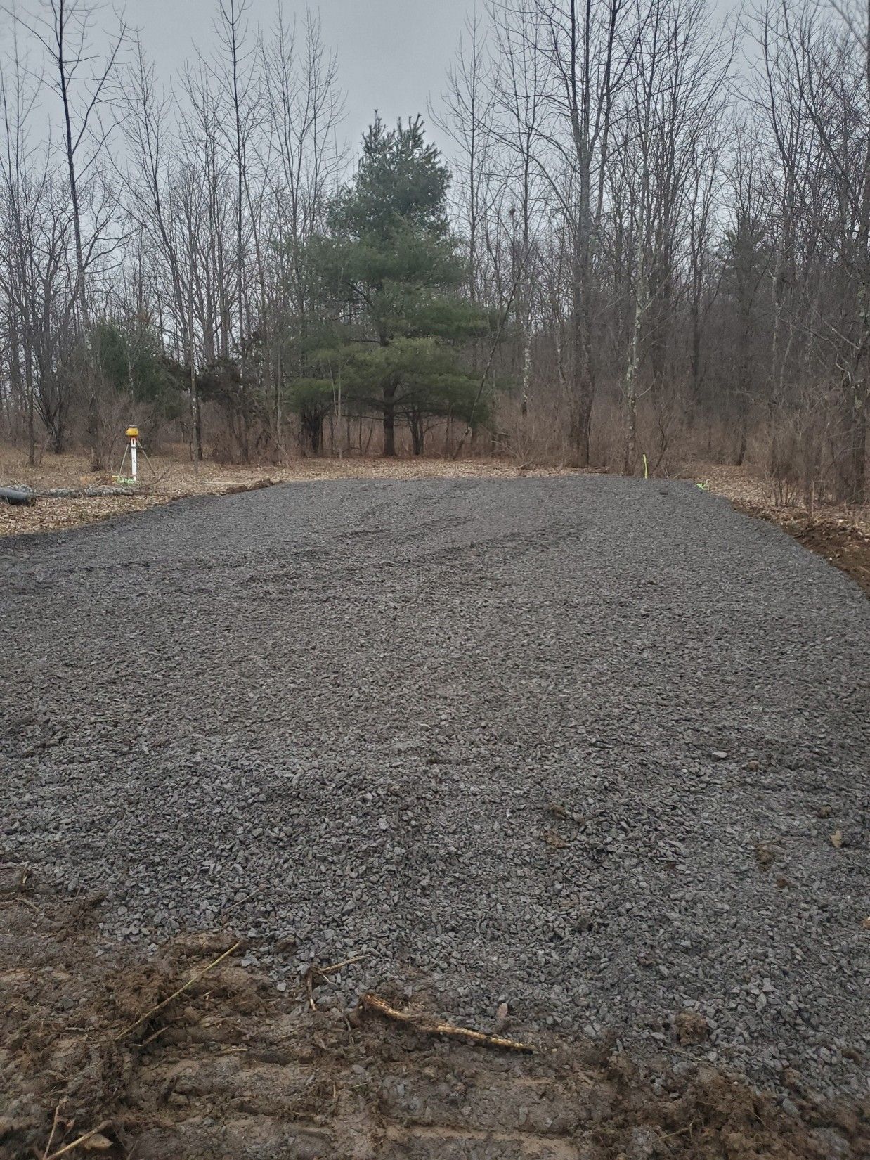 Gravel path leading through leafless trees on a gray winter day