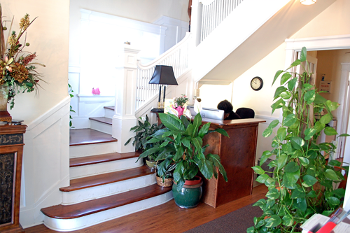 Interior view of a lobby with stairs, reception desk, and potted plants. Brightly lit with cream walls.