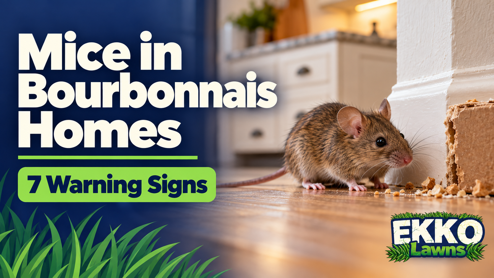 Mice in a Bourbonnais home with “7 Warning Signs” text and EKKO logo