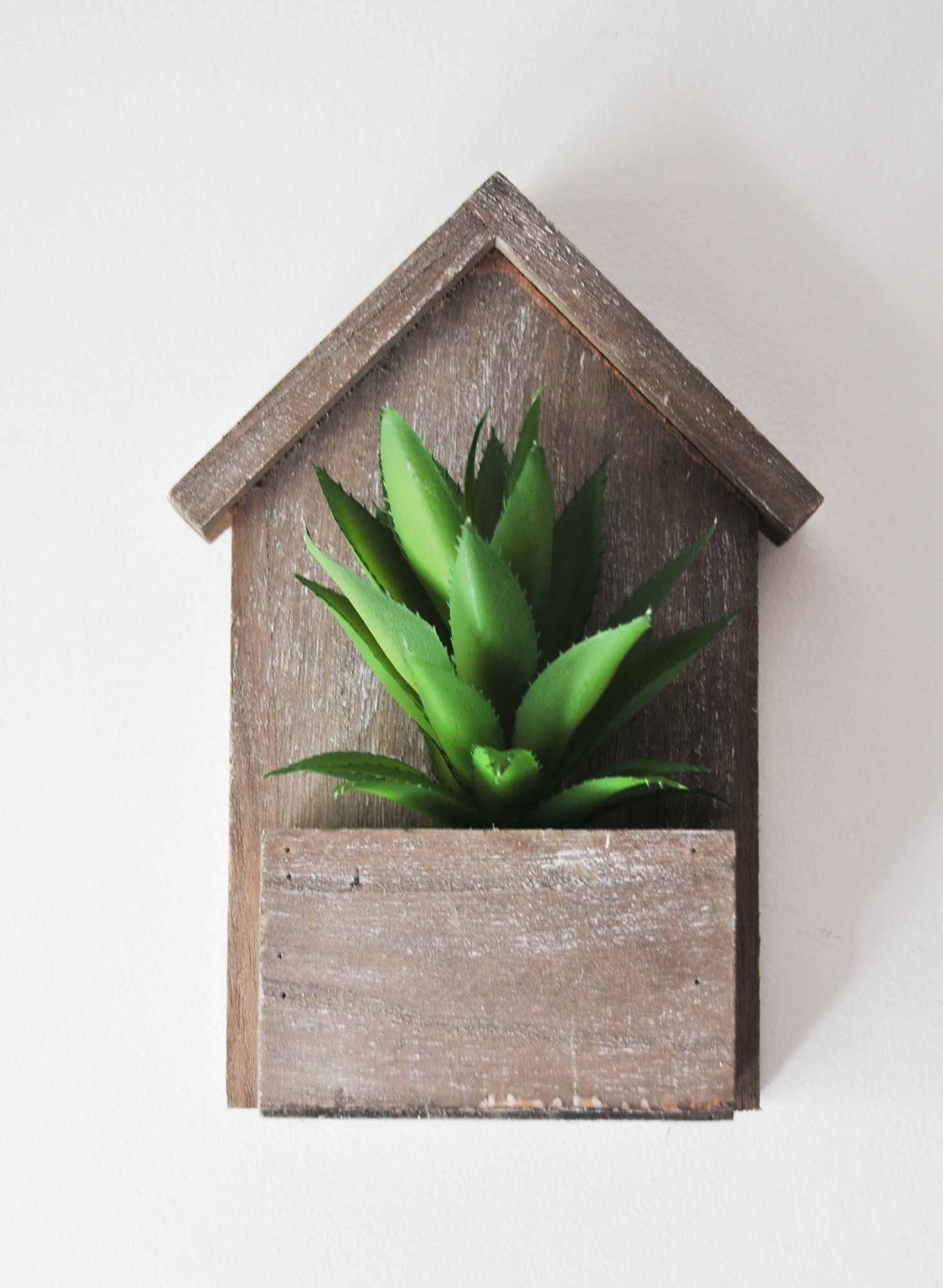 Plante grasse verte dans un pot mural rustique en bois en forme de maison.
