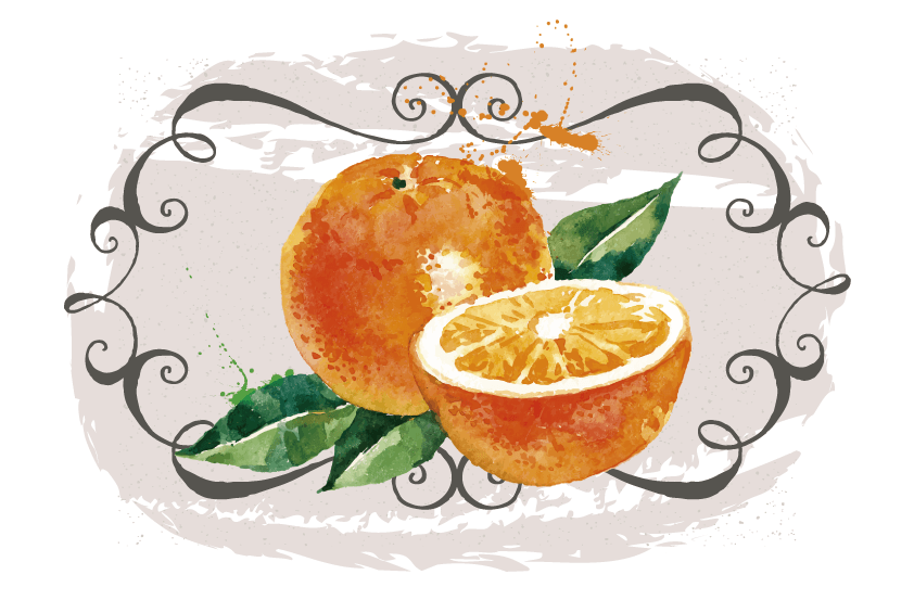 Illustration d'oranges aux feuilles vertes dans un cadre décoratif gris