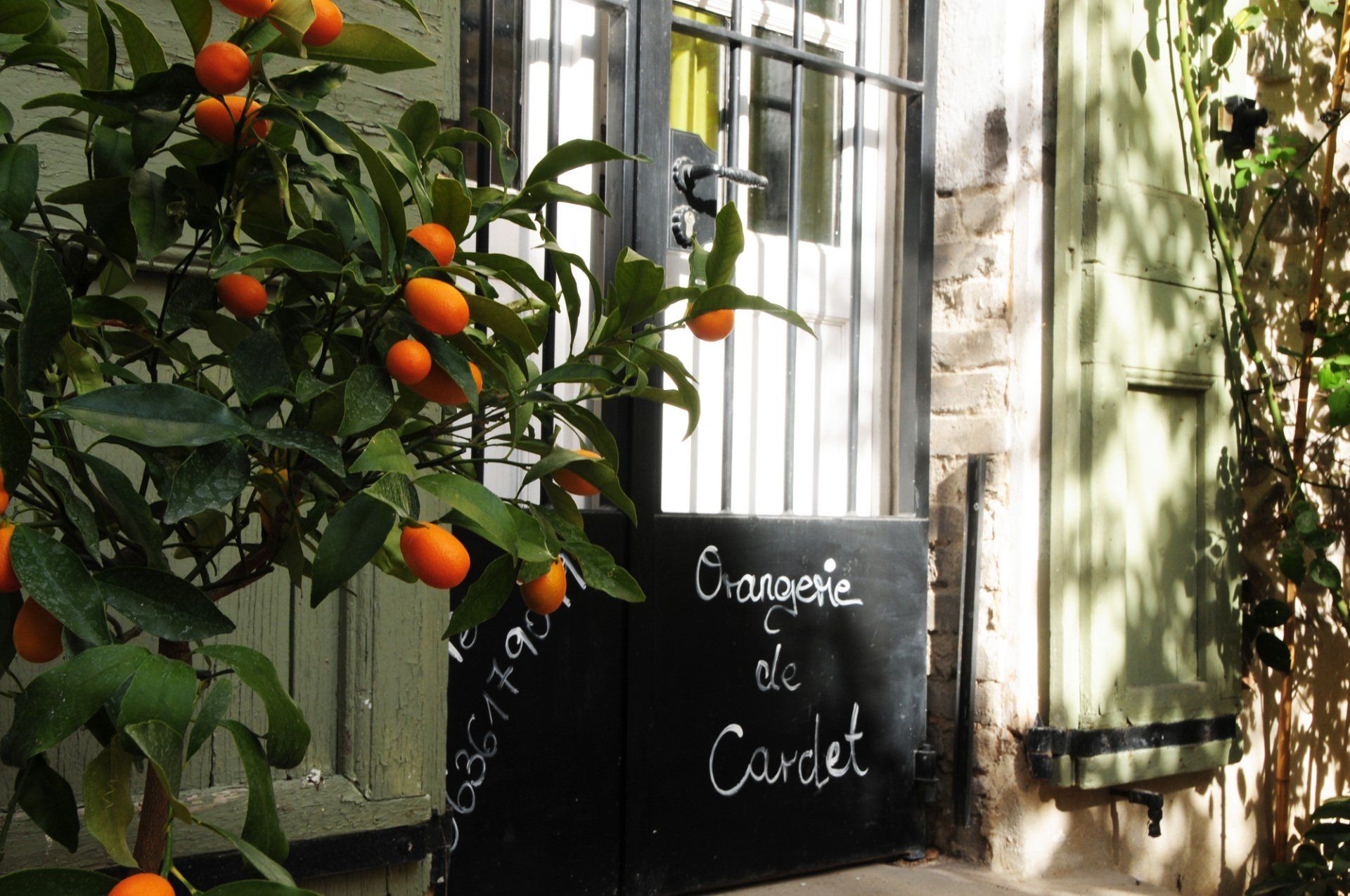 Un oranger jouxte une devanture ensoleillée où l'on peut lire sur une ardoise « Croissant & Café ».