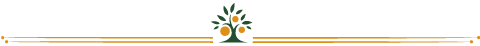 Bannière florale décorative avec motif floral géométrique orange, bleu et vert sur fond blanc