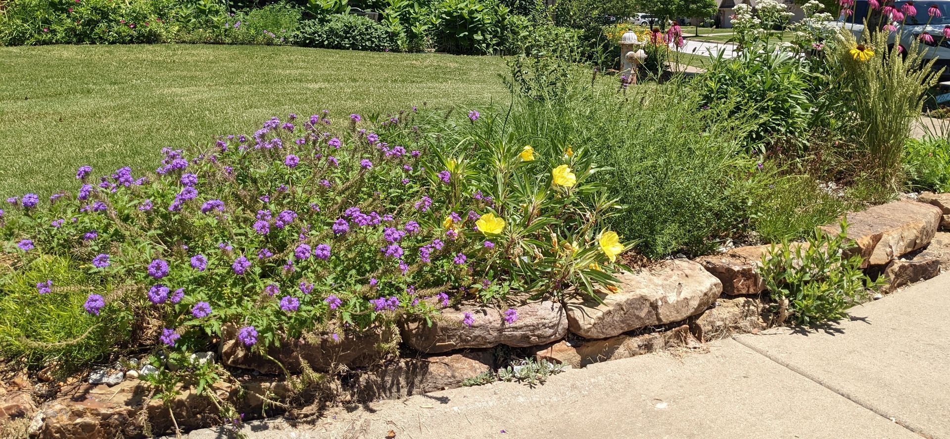 A garden bed with purple and yellow flowers, bordered by a rock wall, next to a sidewalk and green grass.