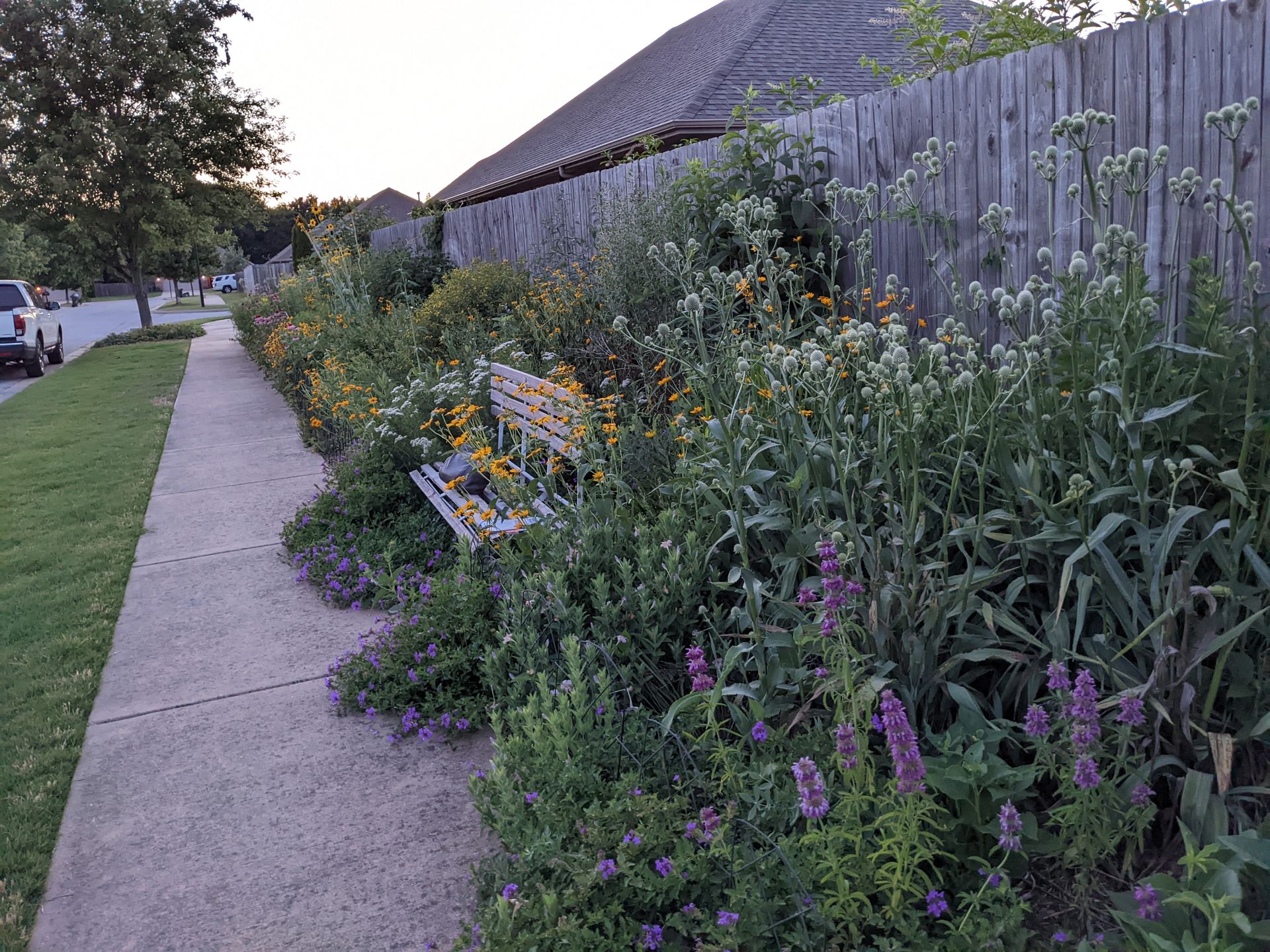 Sidewalk with a bench amidst a colorful garden next to a wooden fence.