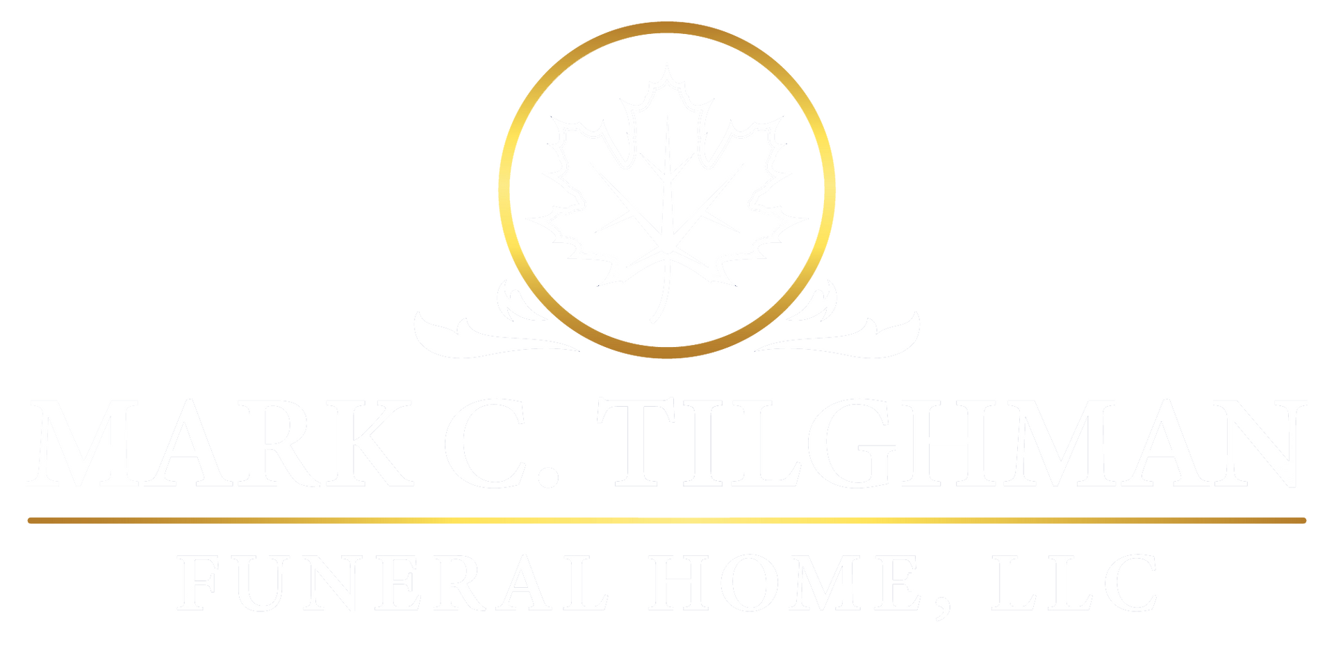 logo-image