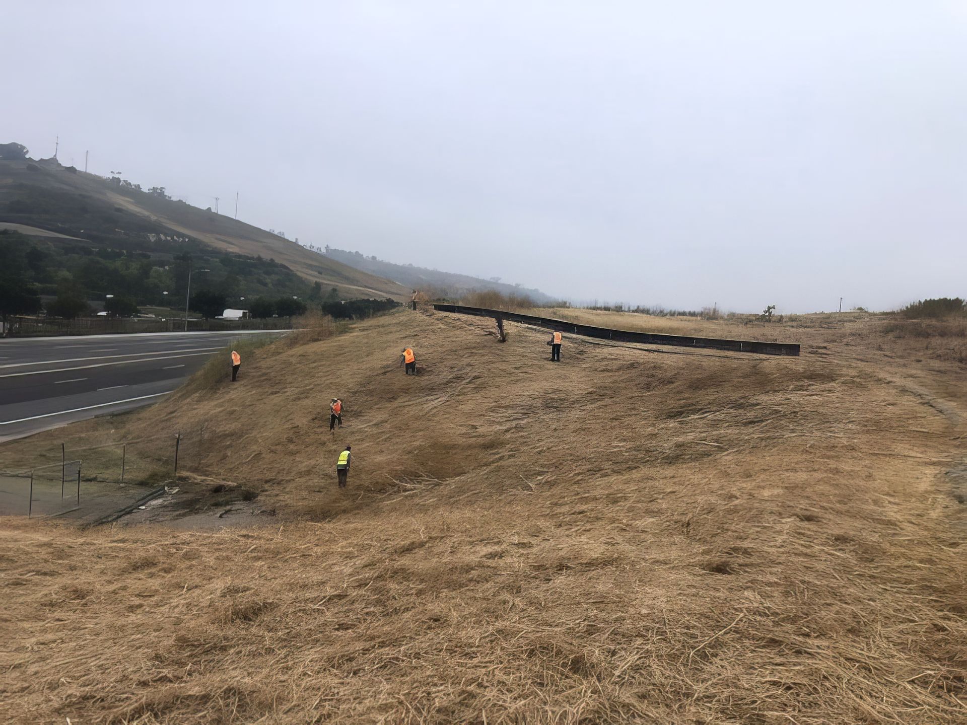 A group of people are standing on top of a dry grassy hill doing landscaping maintenance work